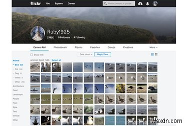 야후 해킹 사태 이후, 플리커(Flickr) 사진을 안전하게 백업하고 이전하는 방법