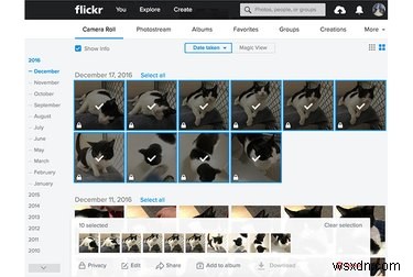 야후 해킹 사태 이후, 플리커(Flickr) 사진을 안전하게 백업하고 이전하는 방법