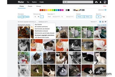 야후 대규모 해킹 사건에도 흔들리지 않는 플리커(Flickr), 사진 애호가들이 여전히 선택하는 이유