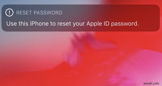 iPhone에 갑자기 뜨는  이 iPhone으로 Apple ID 비밀번호 재설정  알림, 5가지 해결 방법