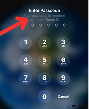 Apple ID 비밀번호 없이 iPad 공장 초기화하는 완벽 가이드(2026)
