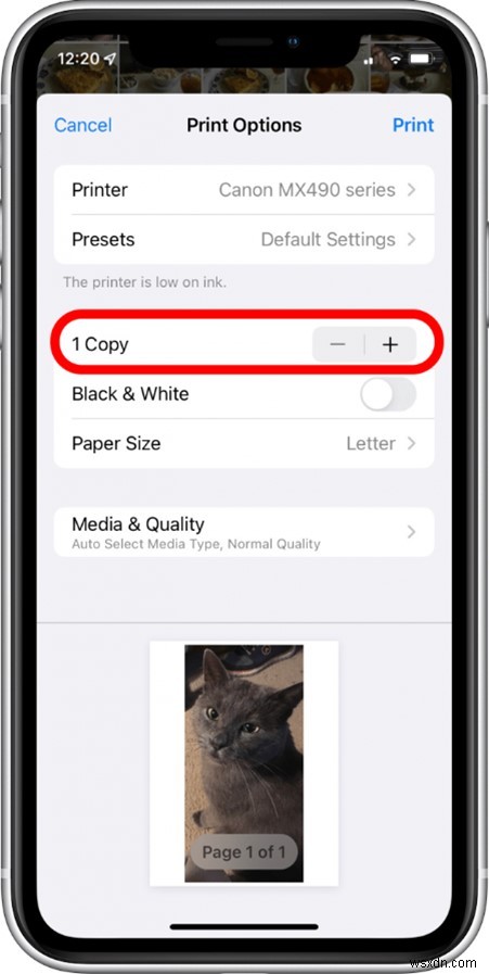 iCloud·iPhone·Mac에서 사진 인쇄하는 방법: 단계별 완벽 가이드