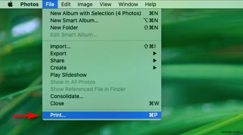 iCloud·iPhone·Mac에서 사진 인쇄하는 방법: 단계별 완벽 가이드