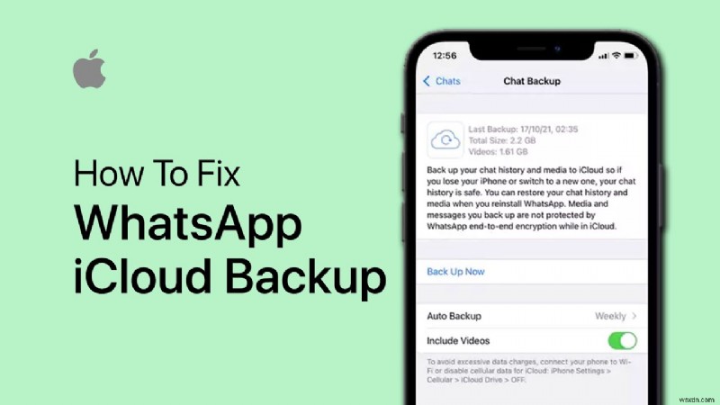 WhatsApp이 iCloud에 백업되지 않는 문제 해결법: 검증된 7가지 솔루션