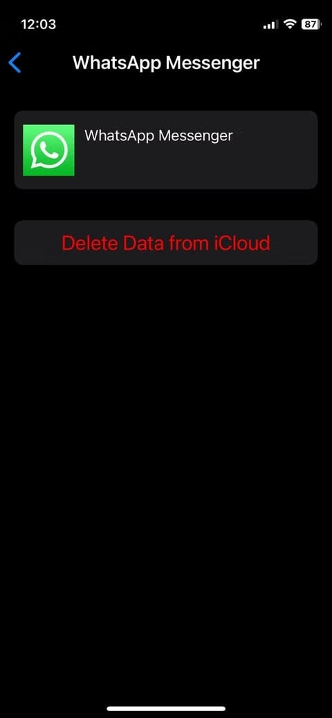 WhatsApp이 iCloud에 백업되지 않는 문제 해결법: 검증된 7가지 솔루션