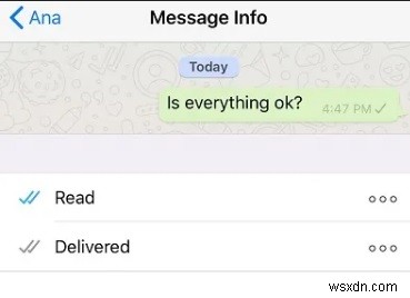 2026 최신 가이드 | WhatsApp 체크 표시 하나(✓)의 정확한 의미와 차단 여부 확인법