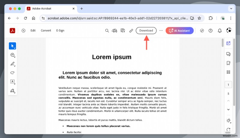 품질 저하 없이 Mac에서 PDF 파일 용량 줄이는 완벽 가이드