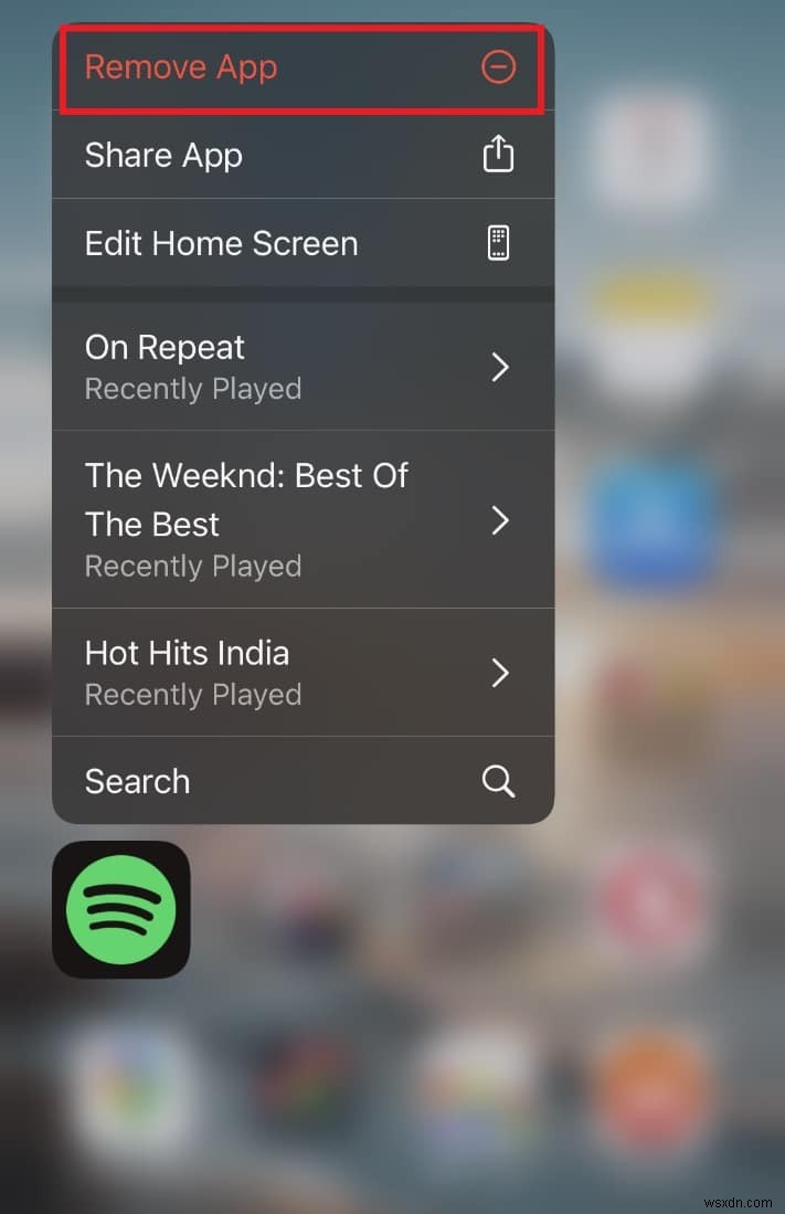 아이폰에서 스포티파이(Spotify)가 10초 후 재생 멈춤? 원인과 해결 방법 총정리