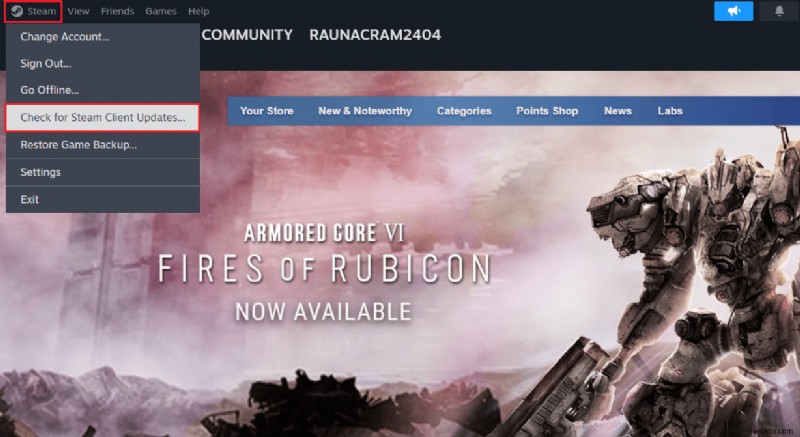 Windows 11에서 Steam API DLL 누락 오류 해결하는 9가지 검증된 방법