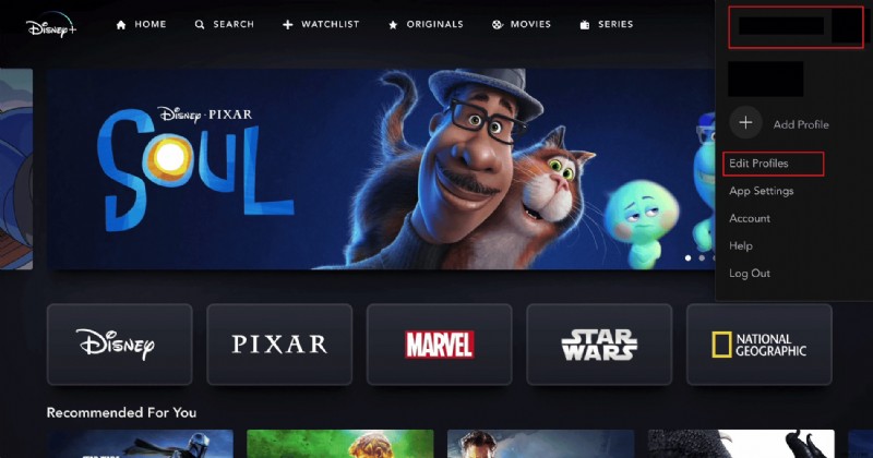 디즈니플러스(Disney+) 계정에서 허가받지 않은 사용자를 빠르게 내보내는 방법