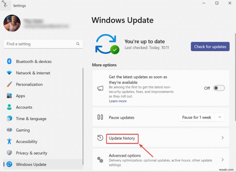 Windows 11/10에서 앱 충돌 해결하는 방법: 빠른 수정부터 전문적인 문제 해결까지