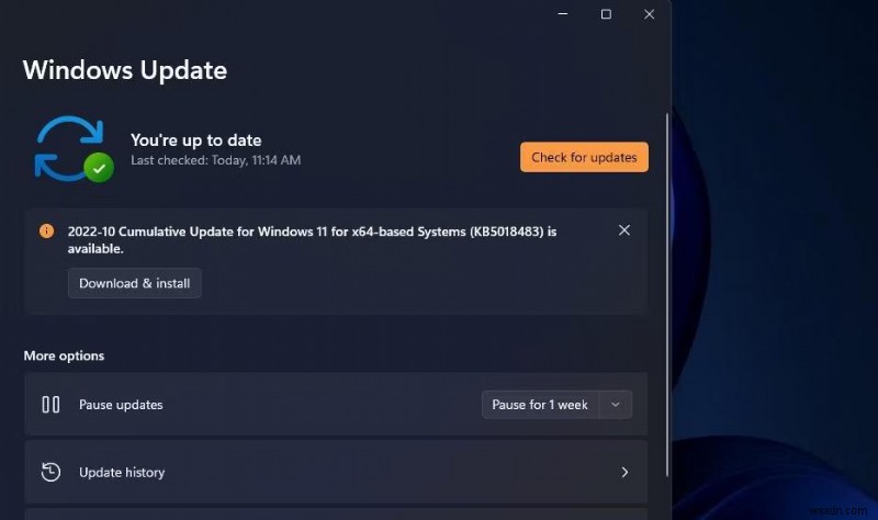 Windows 11에서 D3D11 호환 GPU 오류 해결하는 방법 – 단계별 완벽 가이드