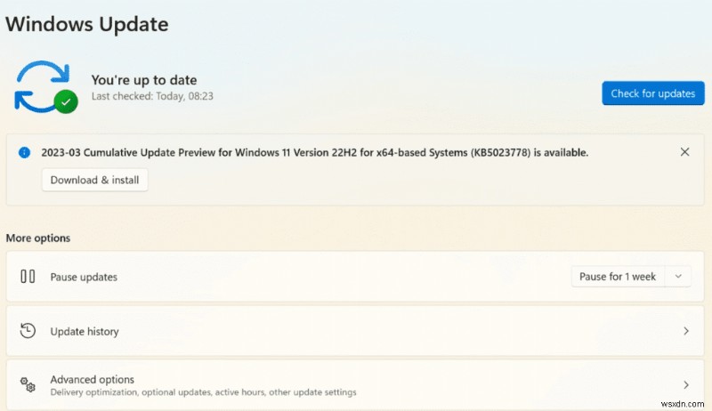 Windows 11 PC 과열 문제 해결 방법: 전문가 추천 솔루션