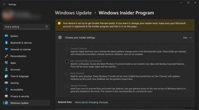 Windows 11 앱 자동 색상 관리(ACM) 활성화 방법 – 단계별 완벽 가이드