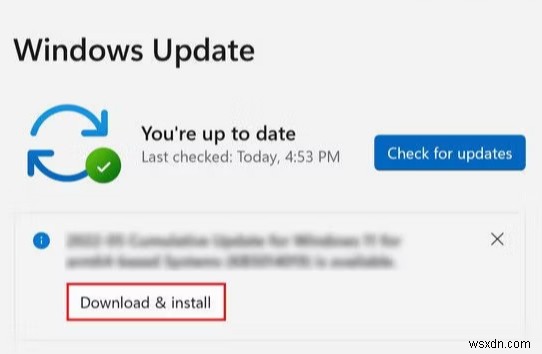 Windows 11 기본 앱 변경 방법과 문제 해결 완벽 가이드