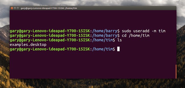 useradd 명령을 사용하여 Linux에서 사용자를 만드는 방법