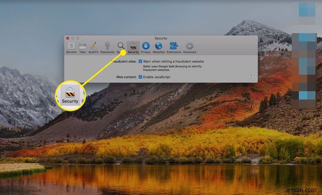 Safari 웹 브라우저에서 플러그인을 관리하는 방법