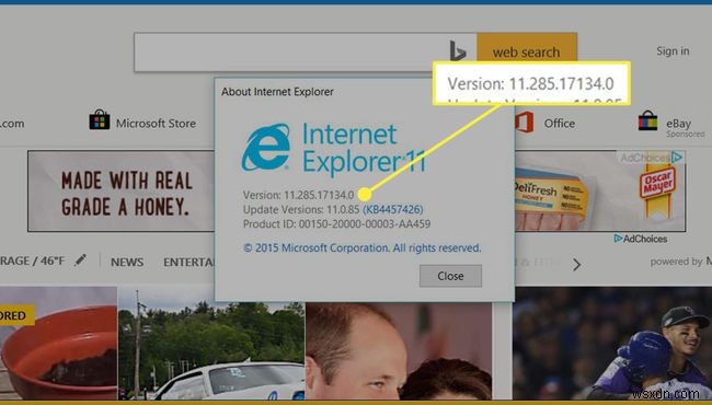 내 Internet Explorer 버전은 무엇입니까?