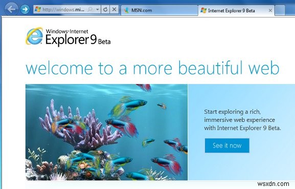 Internet Explorer 9 베타 검토