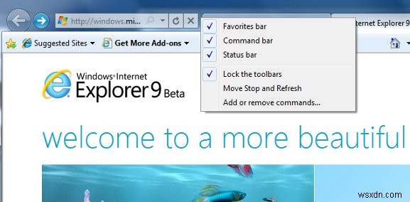 Internet Explorer 9 베타 검토