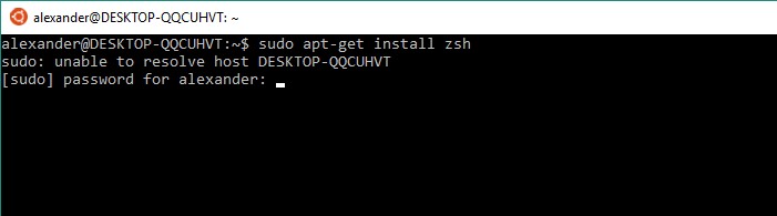 Windows 10에 zsh 및 Oh My Zsh를 설치하는 방법