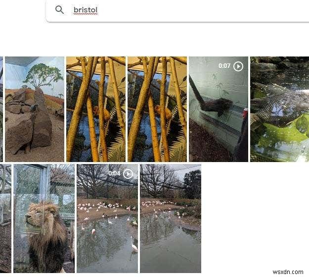 Google 포토에서 제공되는 강력한 사진 검색 도구를 사용하는 방법