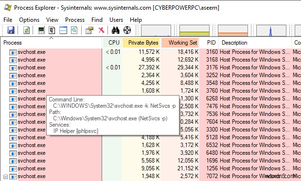 Windows에서 svchost.exe 프로세스가 호스팅하는 서비스 목록 보기 