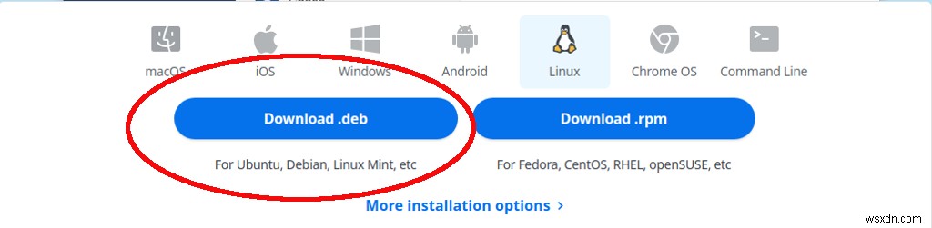 Linux Mint:초보자 가이드 및 전문가 팁