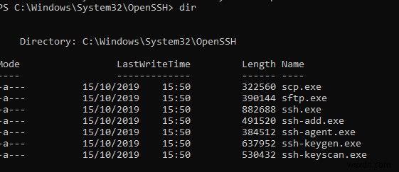 Windows 10에서 기본 SSH 클라이언트를 사용하는 방법은 무엇입니까? 