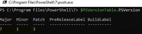 Windows에서 PowerShell 버전 업데이트 