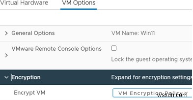 VMware 가상 머신에 Windows 11을 설치하는 방법은 무엇입니까? 