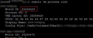 VMware ESXi:응답하지 않는(멈춤) 가상 머신을 종료하는 방법 