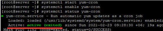 RHEL/CentOS에서 자동 패키지 업데이트 활성화 