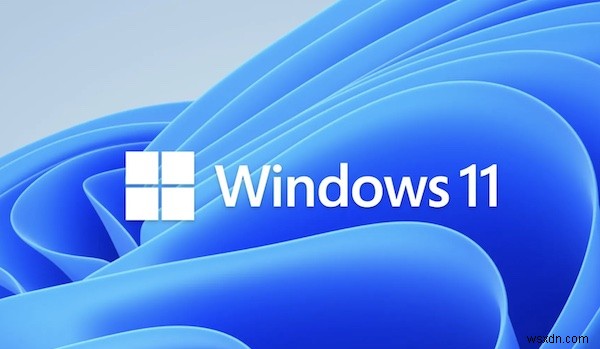 Windows 11에서 모든 드라이버를 다운로드하고 업데이트하는 방법 