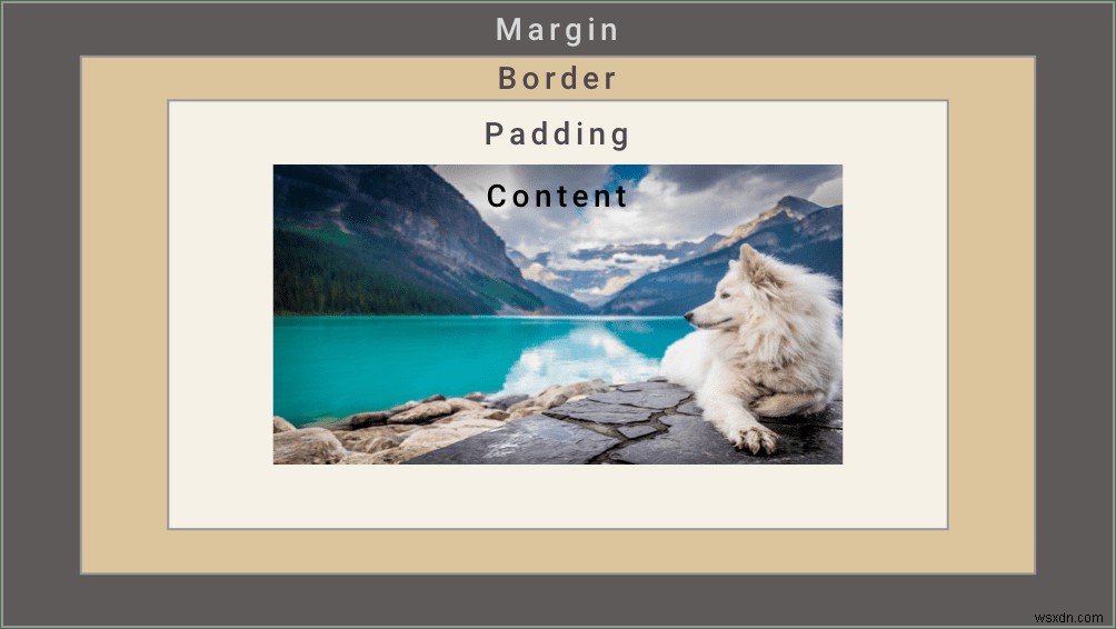 CSS 패딩 대 여백:차이점을 구별하는 방법 