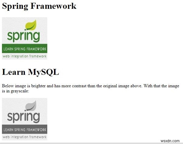 CSS3를 사용하여 이미지를 회색조로 변환 