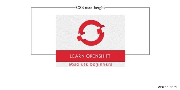CSS의 max-height 속성 