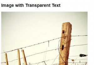 CSS를 사용하여 투명한 배경 텍스트로 이미지를 만드는 방법은 무엇입니까? 