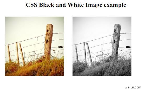 CSS로 흑백 이미지를 만드는 방법은 무엇입니까? 