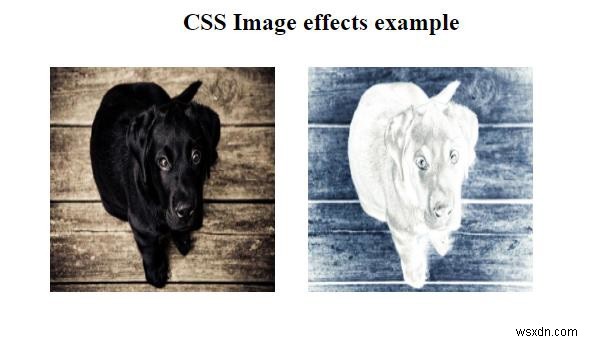CSS를 사용하여 이미지에 시각 효과를 추가하는 방법은 무엇입니까? 