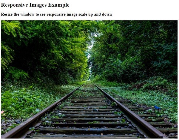 CSS로 반응형 이미지를 만드는 방법은 무엇입니까? 