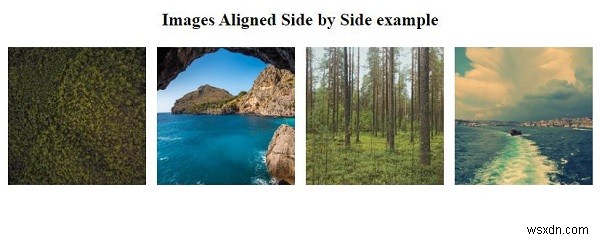 이미지를 CSS와 나란히 정렬하는 방법은 무엇입니까? 