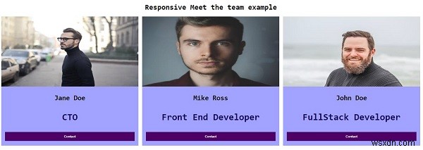 CSS로 반응형 Meet Team 페이지를 만드는 방법은 무엇입니까? 