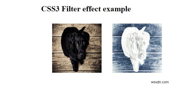 CSS3 필터 효과 작업 