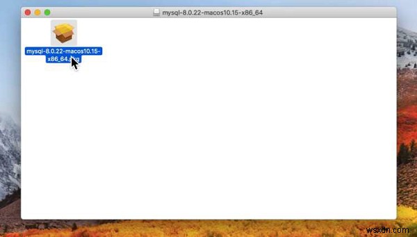 macOS에 MySQL 설치 