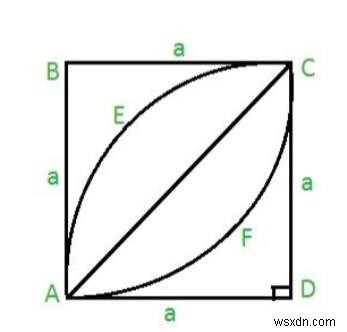 C 프로그램에서 사각형 안의 잎 면적은? 