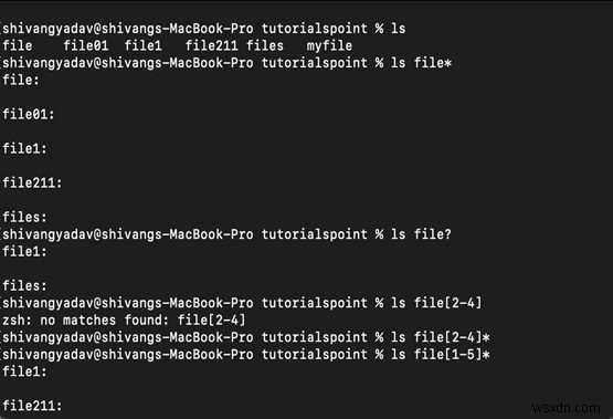 C++에서 Linux의 파일 글로빙 