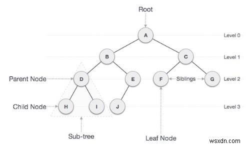 C++의 이진 트리에서 잎이 아닌 노드 계산 