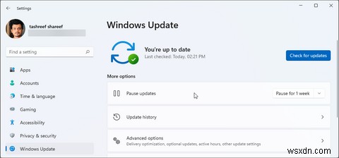 Windows 10 및 11에서 누락된 프로필 사진을 복원하는 방법 