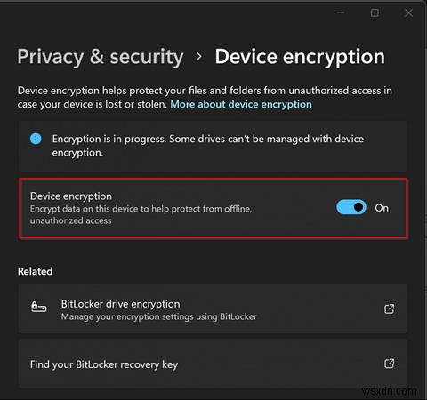 Windows 11에서 장치 암호화가 작동하지 않습니까? 해결 방법은 다음과 같습니다. 